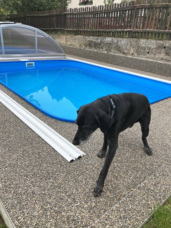 Kamenný koberec Topstone