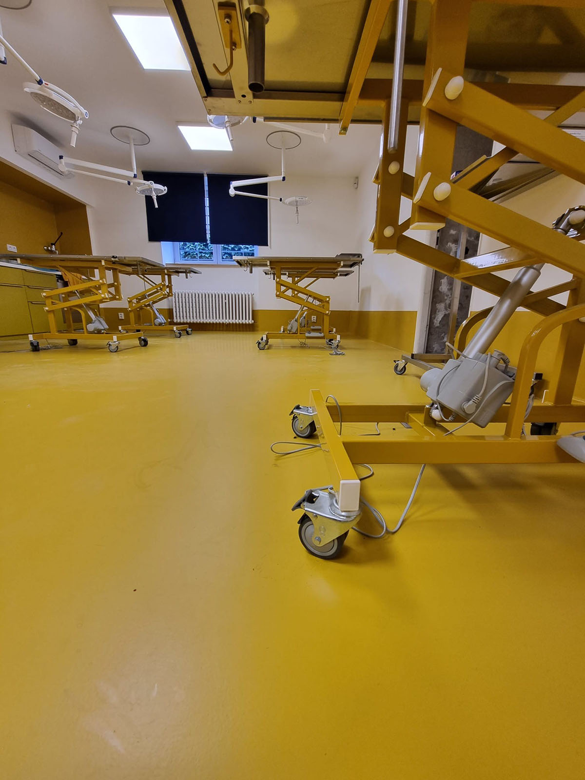 Veterinární pitevna