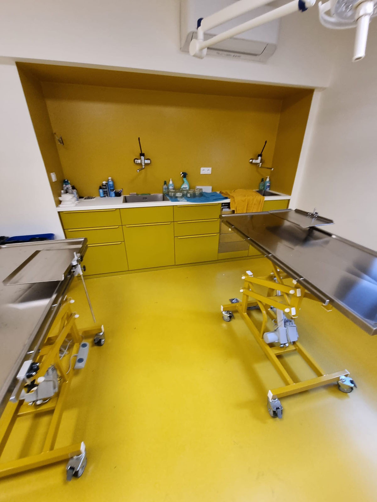 Veterinární pitevna